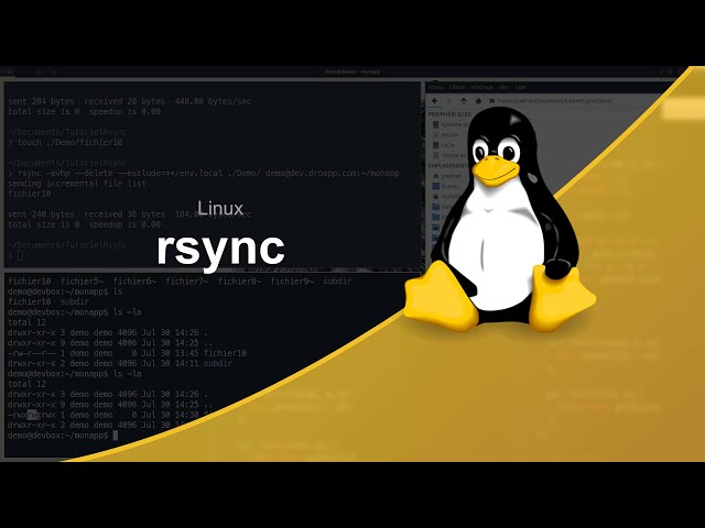Mettre en place un serveur Web (9/28) : rsync