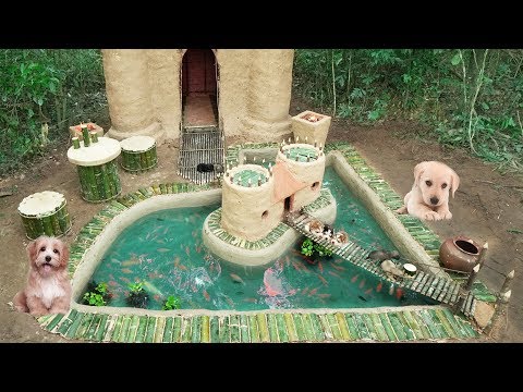 Rescues Animal Build Dog House