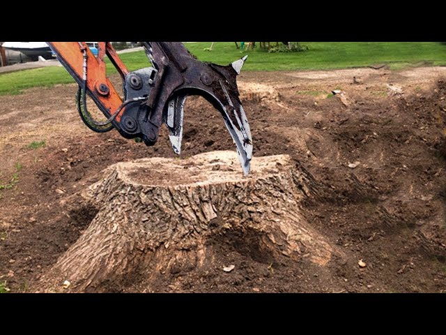Extreme Dangerous Monster Stump Removal Excavator - Fastest Stump Grinding Machine Wood Working