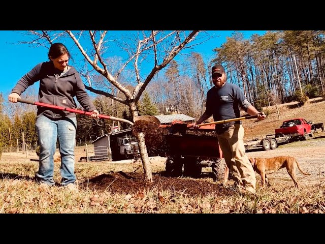 Feed Your Soil, Feed Your Plants | Homestead Vlog | February 7, 2024
