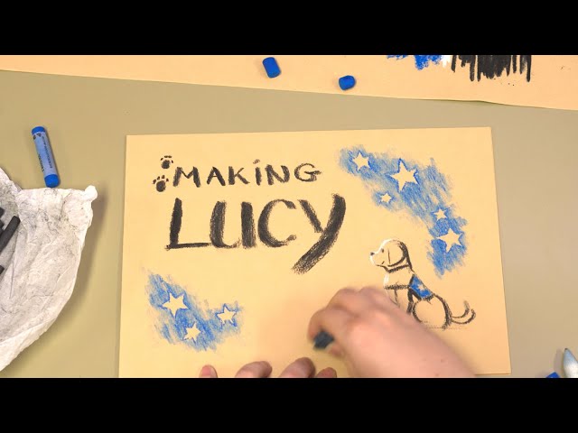 The Making of Lucy | Southeastern Guide Dogs