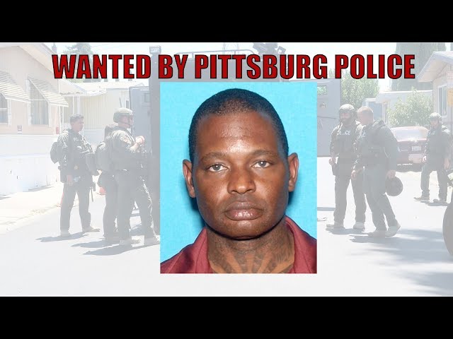 Pittsburg Police SWAT Team Called to Search for Suspect After Shooting