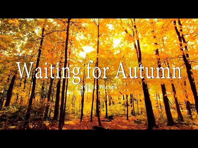 🍂🍂🍂 Enjoy Best 4K Autumn Nature Scenes from Around the World + Calming Music