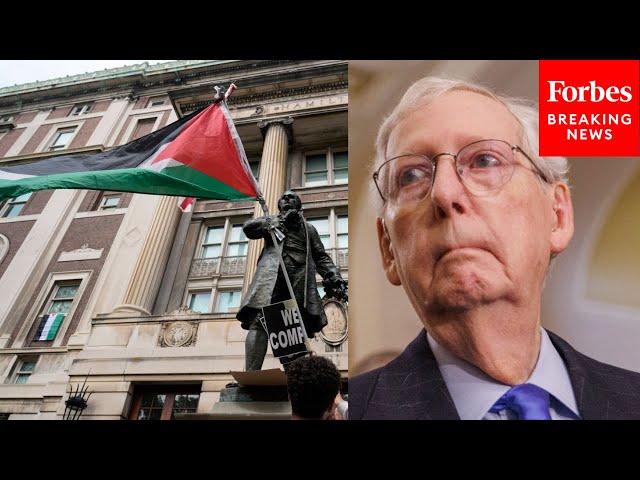 'A Particularly Shameful Moment': Mitch McConnell Slams Pro-Palestinian Protests At Universities