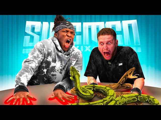 SIDEMEN TRY NOT TO MOVE CHALLENGE