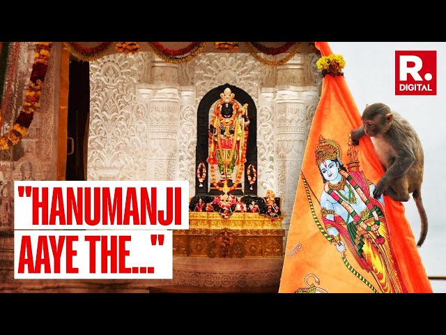 Monkey Enters Ram Temple Sanctum Sanctorum, Devotees Says 'Hanuman Ji...'