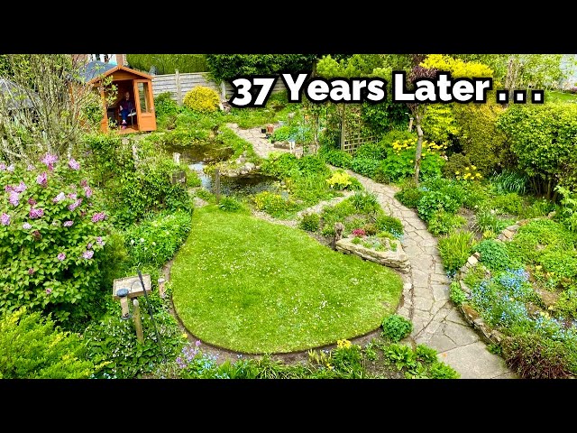 A Wildlife Garden 37 Years In The Making - The Dedicated David Crossley