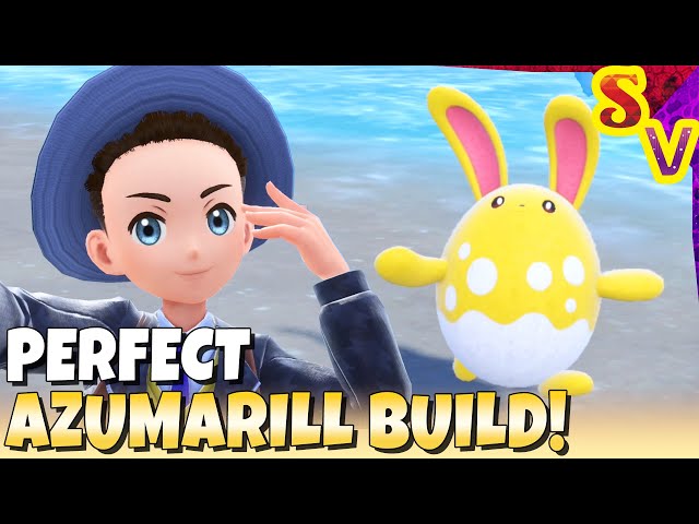 PERFECT AZUMARILL! Best Tera Raid Build Guide (Bellydrum, Huge Power, EV & IV Trained, Adamant)