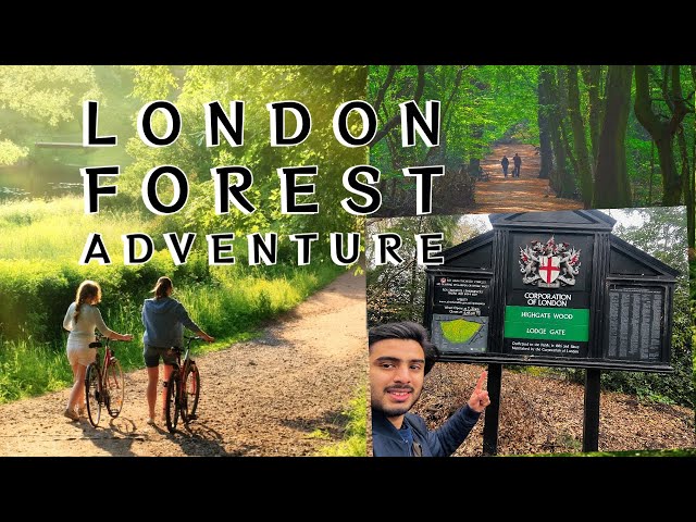 Ghosts of Epping Forest | A walk in London's forest (4K) | Massive forest in London High Gate Wood