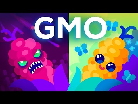 Are GMOs Good or Bad? Genetic Engineering & Our Food