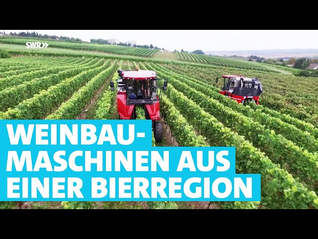 Rote Riesen im Weinberg: Die Traubenvollerntemaschinen aus dem Hunsrück