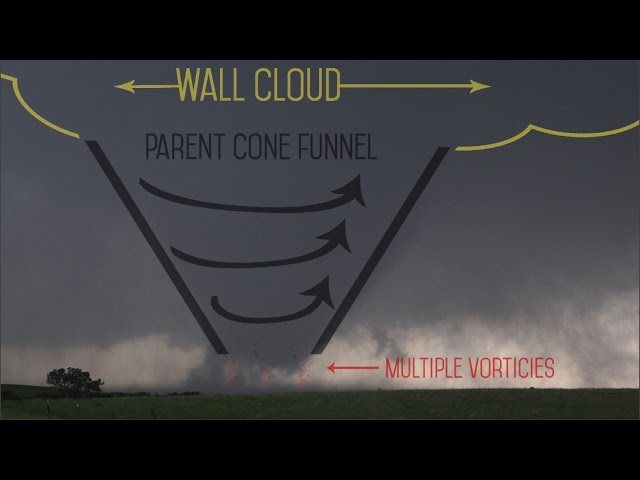 The Anatomy of the Life of a Supercell