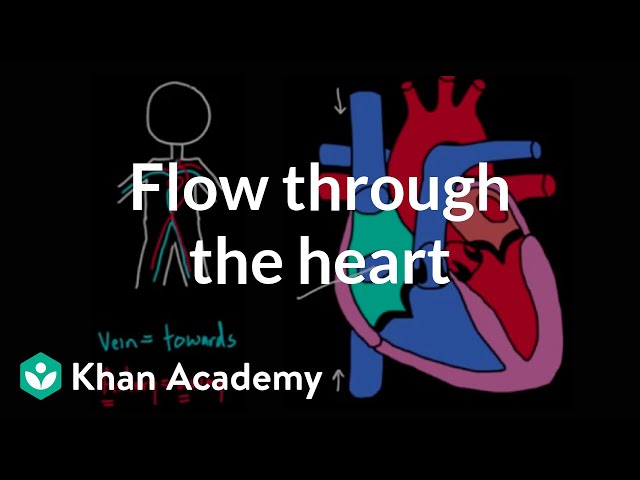 Flow through the heart | Circulatory system physiology | NCLEX-RN | Khan Academy