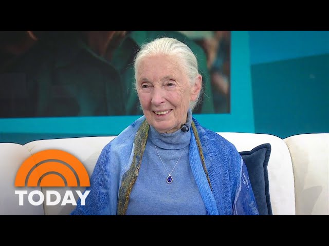 Jane Goodall on turning 90, what she'd like her legacy to be