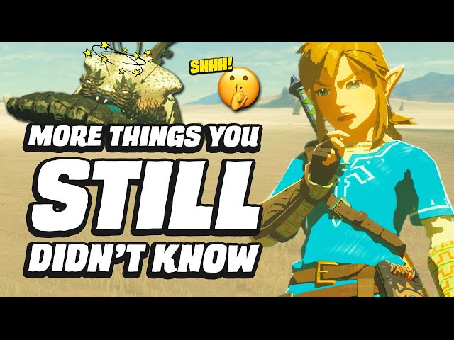 21 MORE Things You STILL Didn't Know In Zelda Breath of the Wild
