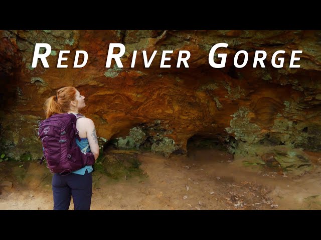 Red River Gorge | Gray's Arch | Hanson's Point | Auxier Ridge | Double Arch | Natural Bridge | KY
