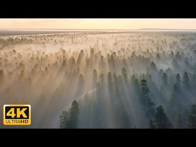 6 Hours Fascinating Aerial Views of Nature 4K