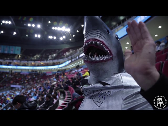 Pond Shark | Shanghai Sharks Playoff Vlog with DONNIE DOES