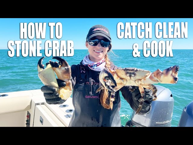 How to Catch Clean Cook Stone Crab - South Florida Crabbing