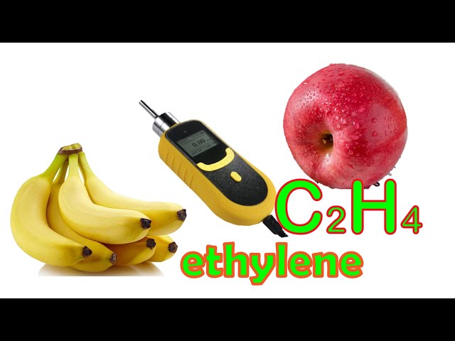 How much C2H4 (ethylene) do ripe bananas and apples produce?