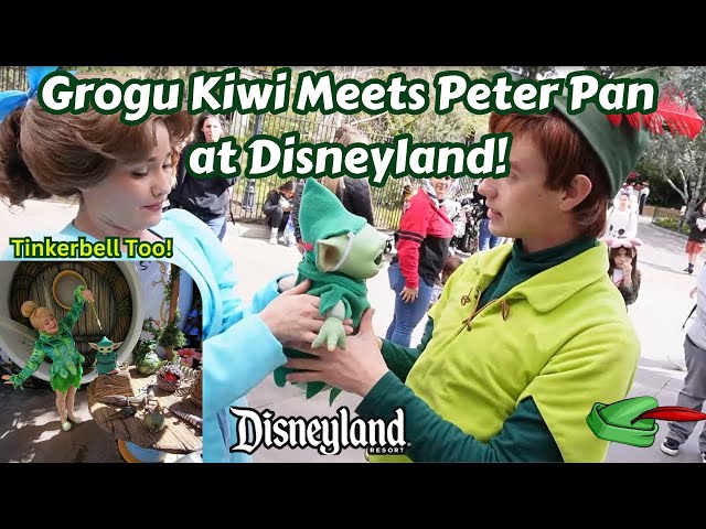 Peter Pan found a New Lost Boy! Grogu Kiwi meets Peter Pan, Wendy & Tinkerbell at Disneyland!