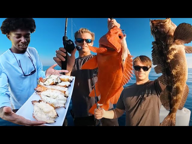 TOP 4 Catch, Clean, and Cook Videos of 2023 | Fishing Compilation