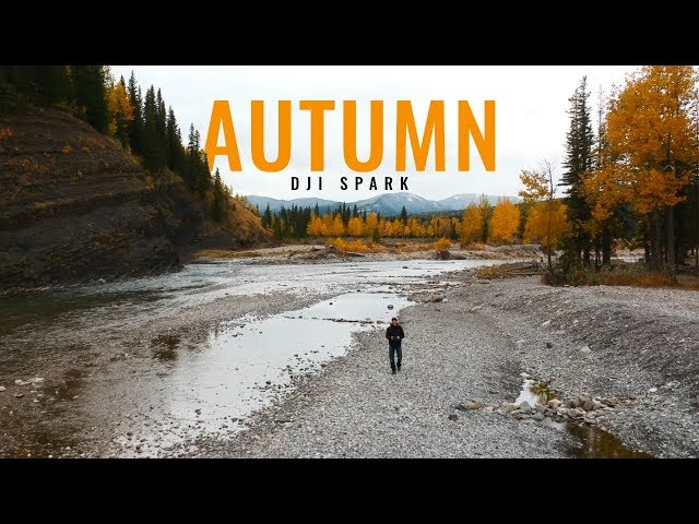 Autumn | DJI Spark