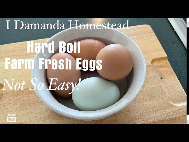 Hard boiling Farm Fresh Eggs, Comparing Methods!