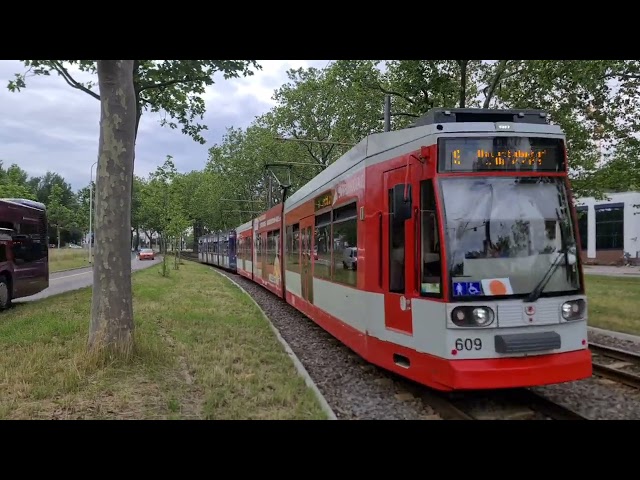 MGT6D Doppeltraktionen in Halle  (Saale)