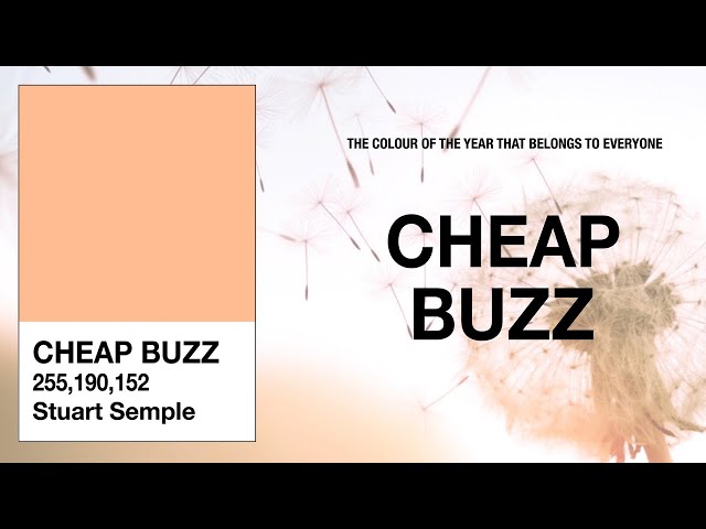 This is not Pantone Color of the year 2024 - peach Fuzz, it's Cheap Buzz