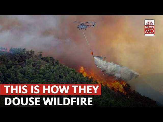 What Is A Bambi Bucket, Being Used By An IAF Helicopter To Fight Nainital Forest Fires?
