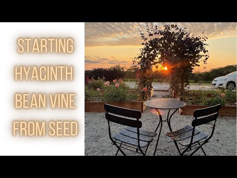 Seed Starting Videos