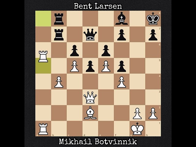 Mikhail Botvinnik vs Bent Larsen | Leiden, Netherlands (1970)