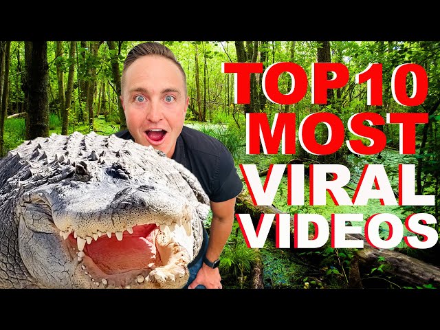 Shocking Most Viral Alligator Videos Of 2023!!!