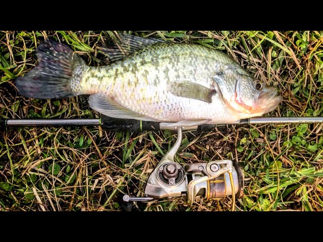 FALL FISHING for BIG CRAPPIE!