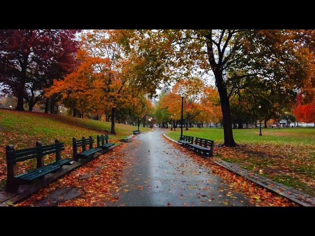 Rainy Autumn Walk in Boston (Public Garden & Boston Common) 4K | Binaural Audio (Rain & City Sounds)