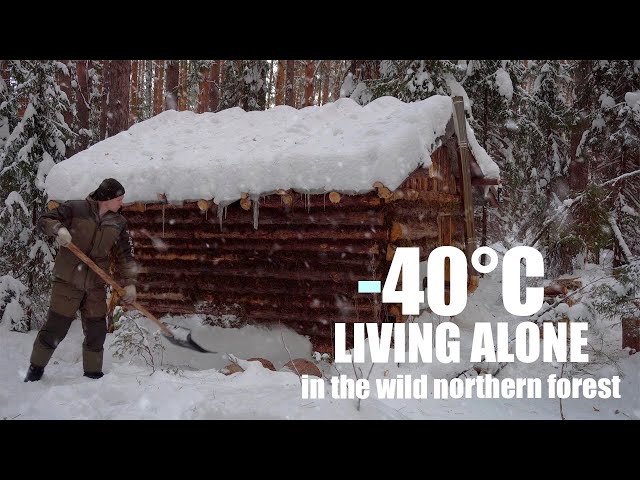 SURVIVE THE WINTER IN A SMALL COZY LOG CABIN.Documentary.