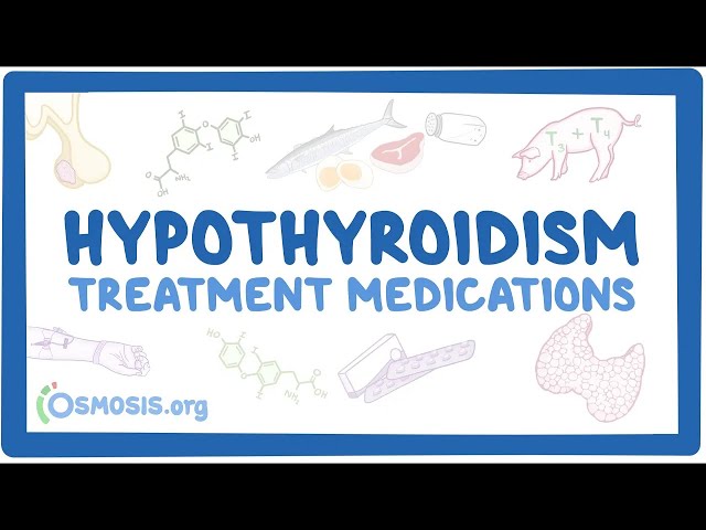 Hypothyroidism treatment medications ~pharmacology~