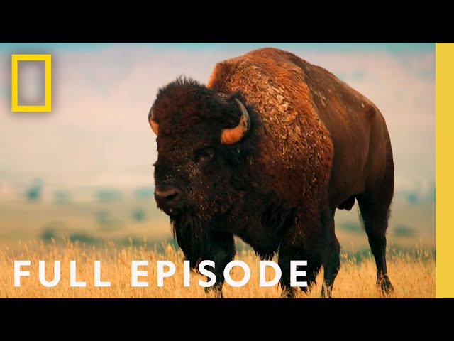 Badlands (Full Episode) | America's National Parks