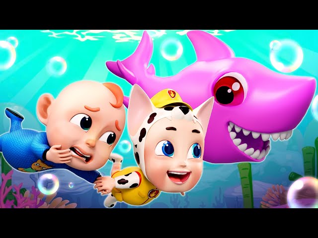 Baby Shark + Wheels On The Bus Go Round and Round | Funny Songs & Nursery Rhymes | Rosoo Baby