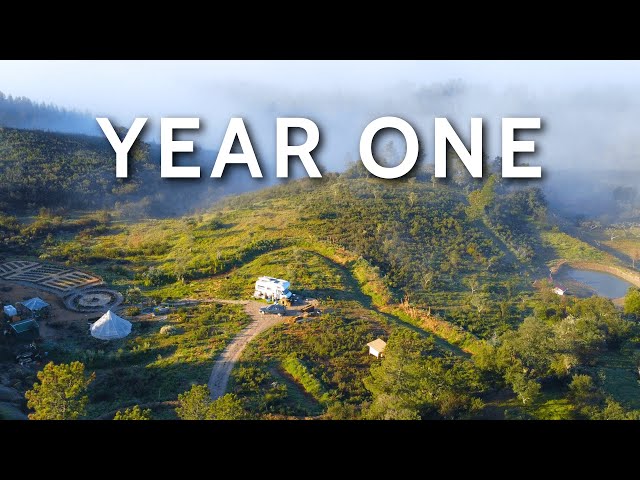 1 Year Ago We Bought Abandoned Land, This Happened