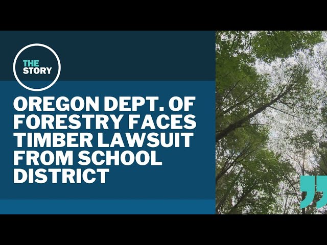 Small school district sues Oregon Department of Forestry over new forest plan