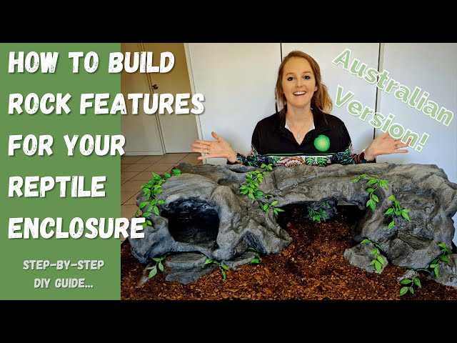 How To Build Rock Features For Your Reptile Enclosure: A step-by-step guide!