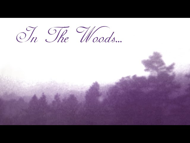 In the Woods... - HEart of the Ages (Full Album)