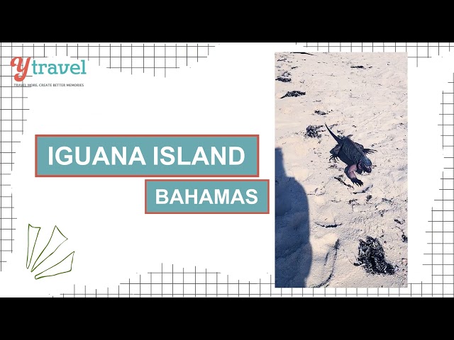 Exuma Islands, Bahamas: A Visit to Iguana Island to see endangered iguanas