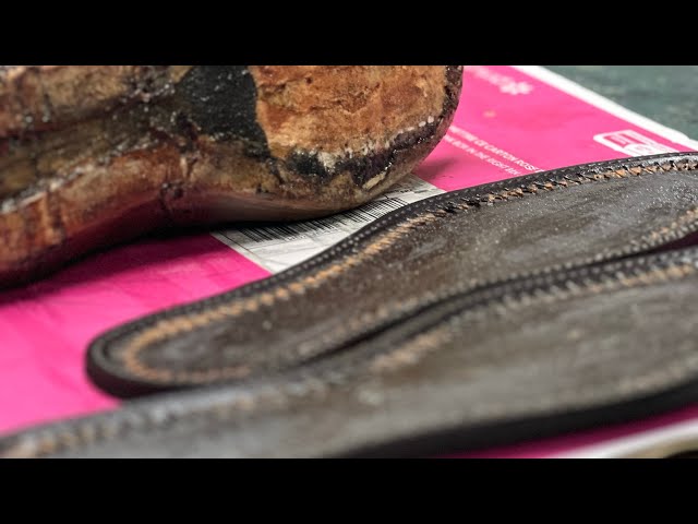 Shoe Restoration | Cardinale Lace up Shoes