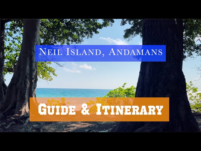 Neil Island, Andamans | Guide & Itinerary | Places to Visit | Maldives of India