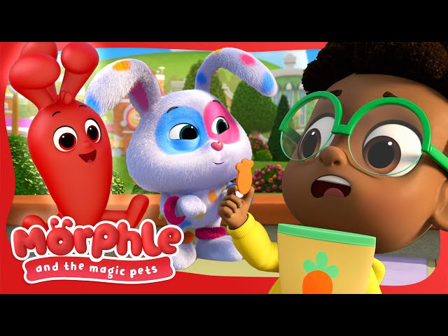 Time to do magic pet sitting | Morphle and the Magic Pets | Available on Disney+ and Disney Jr