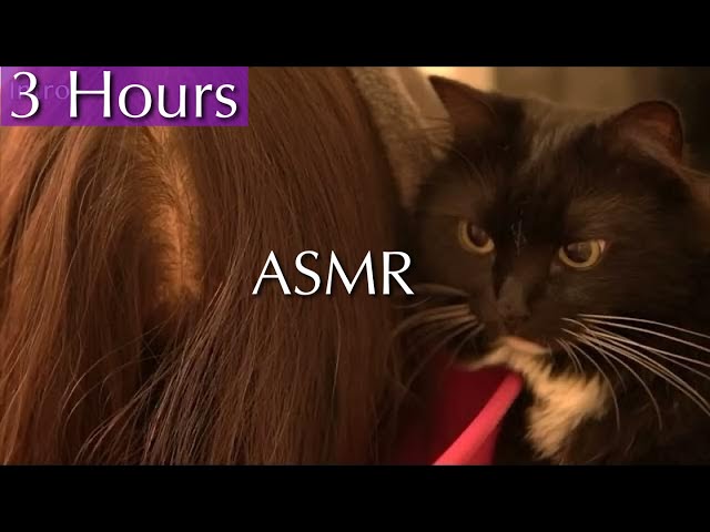 3 Hours Of Hypnotic ASMR Hair Play To Relax Yourself | No Talking