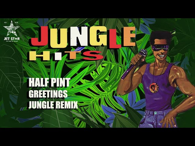 Half Pint - Greetings (Jungle Remix) (Official Audio) | Jet Star Music